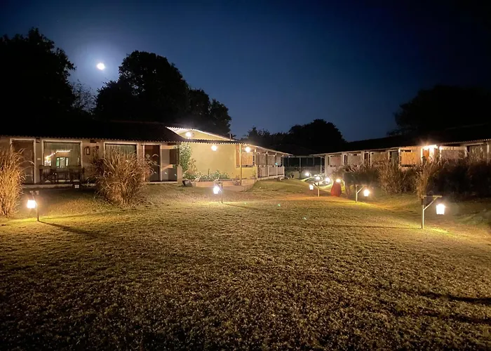Asiatic Lion Lodge Sasan Gir